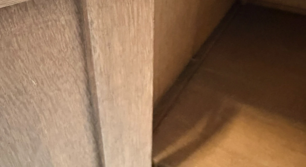 Arts & Crafts Cupboard by Jac. van den Bosch for 't Binnenhuis, 1900s